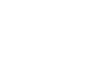 Alleshier